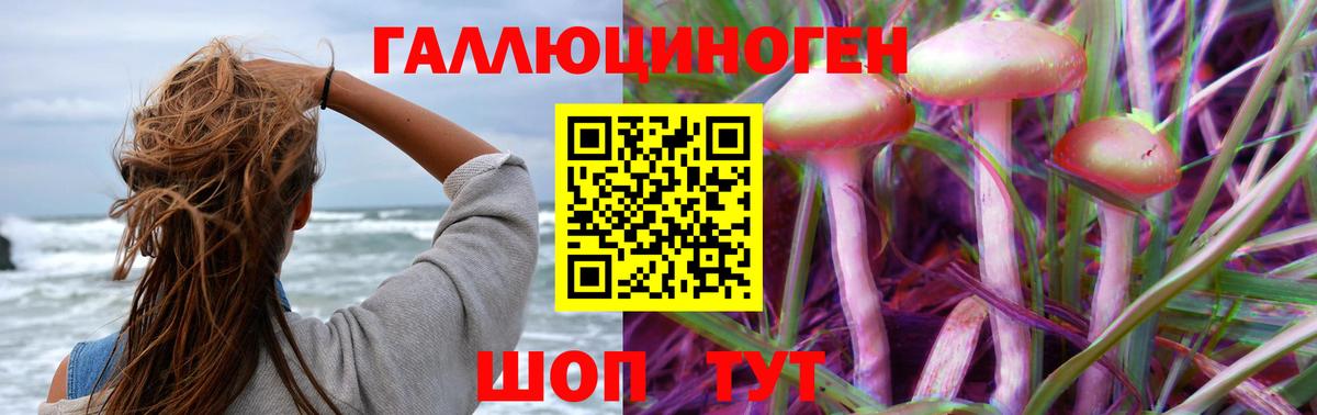 Тверь  Псилоцибиновые грибы ЛСД  Псилоцибиновые грибы MAGIC MUSHROOMS  Вход с VPN 