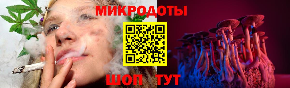 Псилоцибиновые грибы Psilocybine cubensis Тверь